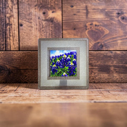 Texas Bluebonnets Interchangeable Night Light Art Scene, Watercolor Flowers